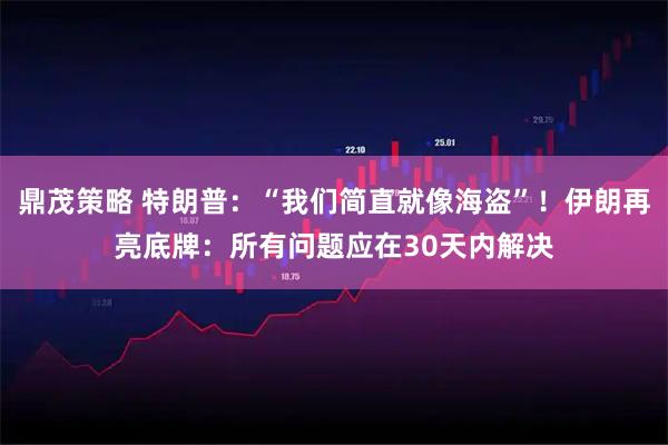 鼎茂策略 特朗普：“我们简直就像海盗”！伊朗再亮底牌：所有问题应在30天内解决